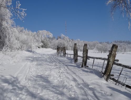 C:\fakepath\DSC02747