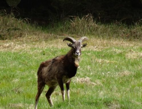 C:\fakepath\DSC04356