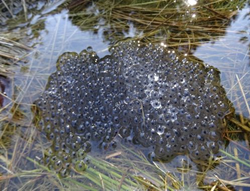 C:\fakepath\DSC03866