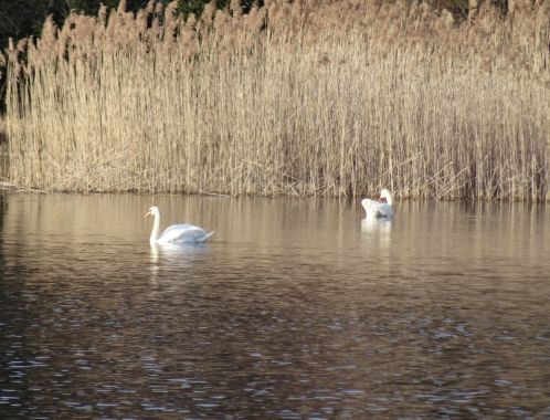 C:\fakepath\DSC03774