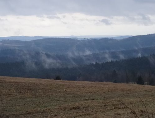 C:\fakepath\DSC03663