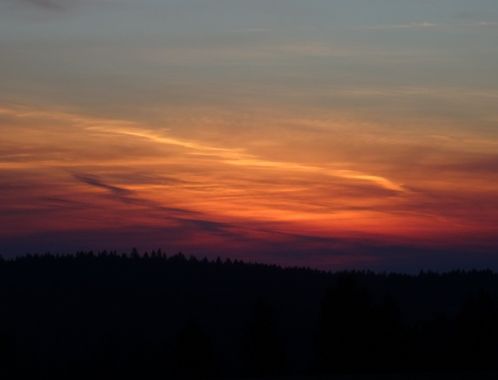 C:\fakepath\DSC03794