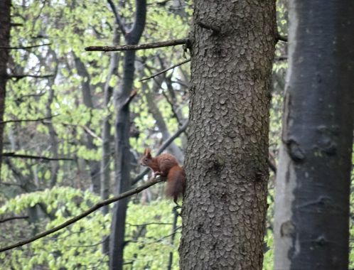 C:\fakepath\DSC04490