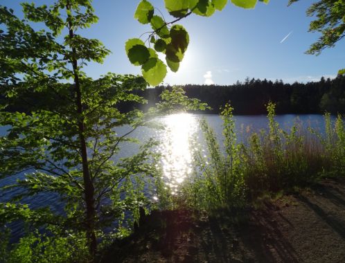 C:\fakepath\DSC05375