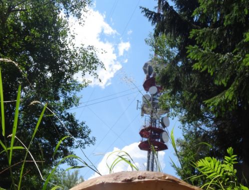 C:\fakepath\DSC07022