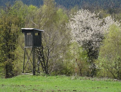 C:\fakepath\DSC04541