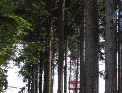 C:\fakepath\DSC04589