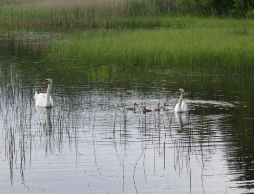 C:\fakepath\DSC05695