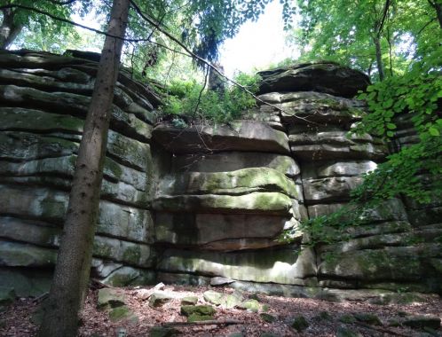 C:\fakepath\DSC07224