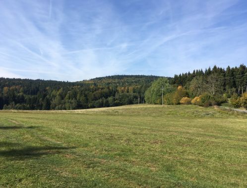 C:\fakepath\IMG 1550