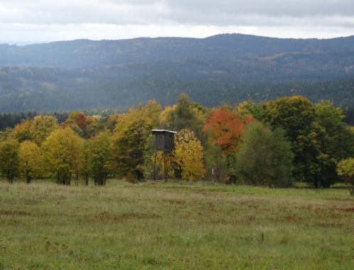 C:\fakepath\DSC08098